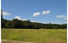 Property photo 2 - 1,575+/- Acres Offered in 23 Tracts